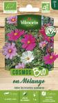 Fleurs - Cosmos Varié - BIO - face recto